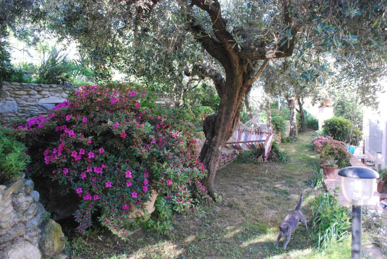 Casa de Campo Casa Anna A In Toscana Con Piscina Pietrasanta