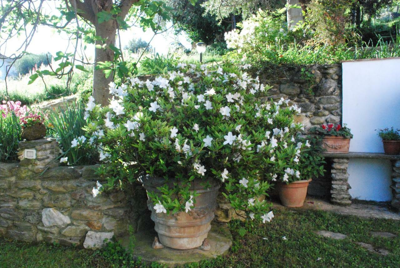 Casa Anna A In Toscana Con Piscina